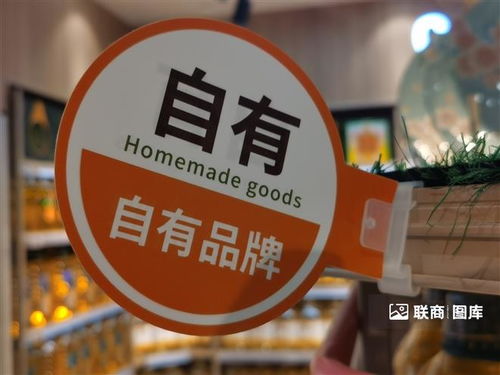 2024年國內(nèi)自有品牌開發(fā)新趨勢 廣告代理視角下的創(chuàng)新與突破